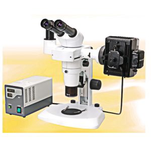 Fluorescence Stereomicroscope