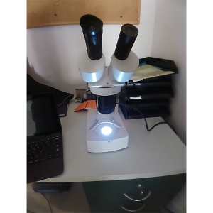 מיקרוסקופים