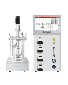 Microbial Bioreactor Glass Vessel1